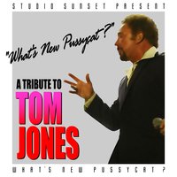 What's New Pussycat (Tribute) - Studio Sunset