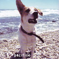 Senza Te - Pacifico