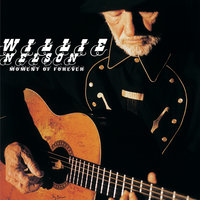 You Don't Think I'm Funny Anymore - Willie Nelson
