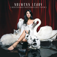 Running Up That Hill - Nolwenn Leroy