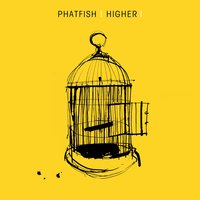 In The Beginning - Phatfish