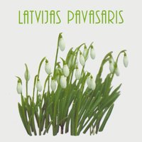 Dzel mani sauli - Nora Bumbiere, Viktors Lapčenoks