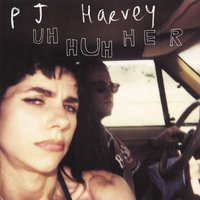 Cat On The Wall - PJ Harvey