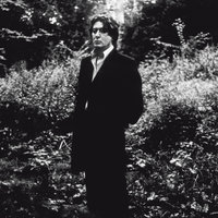 Dans La Foulée - Alain Bashung