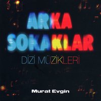 Murat Evgin