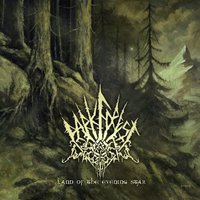 Dark Forest