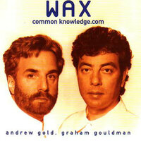 Can Anybody See You? - Wax