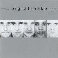 One Sun Shining - Big Fat Snake
