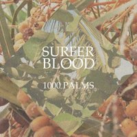 Point of No Return - Surfer Blood