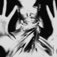 Knockin' On Heaven's Door - Neïmo