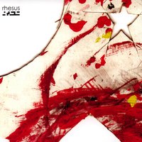 Staircase - Rhesus