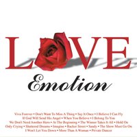 I Won't Let You Down - Love Band