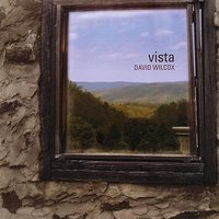 Let It Go - David Wilcox