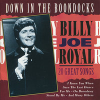 (I Never Promised You A) Rose Garden - Billy Joe Royal