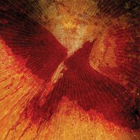 Routine Seizure - The Blinding Light