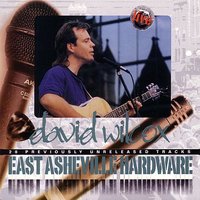 Fearless Love - David Wilcox
