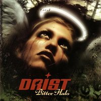 Isn't It Something - Drist