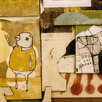 Hawks Can Go - Mock Orange