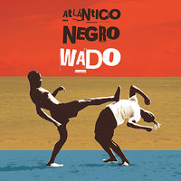 Pavão Macaco - WADO