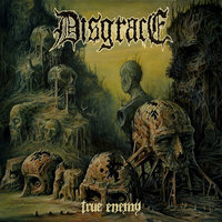 No More Fools - Disgrace