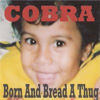 Cash Call - Cobra