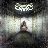 Efface yourself - Shadows Land