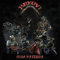 Brkovi