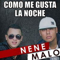 Como Me Gusta la Noche - Nene Malo