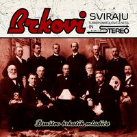 Tolerancija - Brkovi