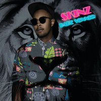 Bare venner - Skinz