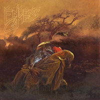 These Empty Fields - 