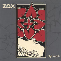 Anything but Fine - Zox