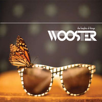 Three Legged Dog - Wooster