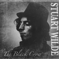 Stuart Wilde