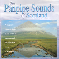 My Love Is Like A Red Red Rose - Celtic Spirit