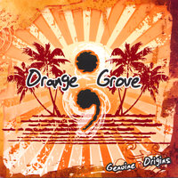 So Afraid - Orange Grove