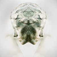 Anatomy - AZEDIA