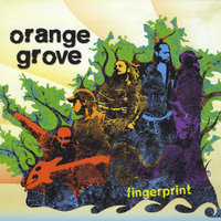 Even If... - Orange Grove