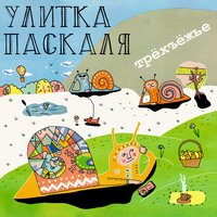 Рояли - Улитка Паскаля