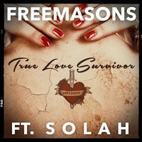 True Love Survivor - Freemasons, SOLAH