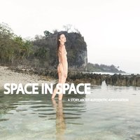 Space In Space - Tiger Love