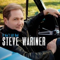 I Want to Be Like You - Steve Wariner