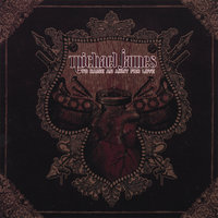 If I Fall - Michael James