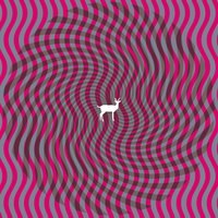 Lake Somerset - Deerhunter