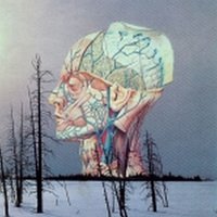 Landlord - Low