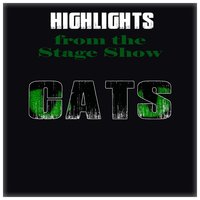 The Ad-Dressing of the Cats - Andrew Lloyd Webber, New Musical West End Orchestra