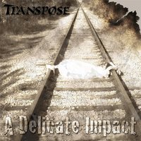 America, Fuck Yeah - Transpose
