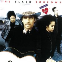 Tears For The Bride - The Black Sorrows