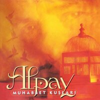 Bir Dost Bulamadım - Alpay