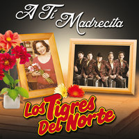 Rifaré Mi Suerte - Los Tigres Del Norte